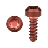 Wanyifa Titanium Bolt M3x9mm Chamfered Torx T15 Head Self-Tapping Screws for Bike Motorcycle Car Boat Model Aircraft Modifications