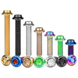 Wanyifa Titanium Bolt M3x6 8 10 12 15 18 20mm Disc-Shaped Umbrella Torx T10 Head with Logo Screw Ti Fasteners