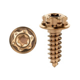 Wanyifa Titanium Bolt M4/M5x15mm Flange Torx Head Self-Tapping Screw for Motorcycle Car Boat Ti Fasteners