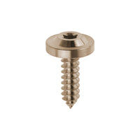 Wanyifa Titanium Bolt M4/M5/M6x15 17 20 25mm Self-Tapping Torx T25 Head Screw for Bike Motorcycle Car Boat Ti Fasteners