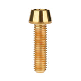 Wanyifa Titanium Bolt M4x8 10 12 15 20mm Taper Hex Head Screw for Bike Fasteners