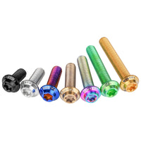 Wanyifa Titanium Bolt M3x6 8 10 12 15 18 20mm Disc-Shaped Umbrella Torx T10 Head with Logo Screw Ti Fasteners