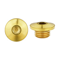 Wanyifa Titanium Bolt M7x4mm M9x10mm Road Bike Schaltung Oil Bleed Bolt Hose Locking Bolts Bicycle Oil Injection Hole Screw Oil Pipe Hose Lock Screws for Shimano  R7020 R8020 R8070 R8170 R9170