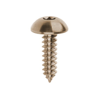 Wanyifa Titanium Bolt M4/M5/M6x15 17 20 25mm Self-Tapping Torx T25 Head Screw for Bike Motorcycle Car Boat Ti Fasteners