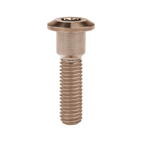 Wanyifa Titanium Bolt M8x20 22 25 30 33 35 40mm Hex Socket Head Screws for Motorcycle Yamaha Disc Brake Screw Suzuki Refit