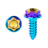 Wanyifa Titanium Bolt M4/M5x15mm Flange Torx Head Self-Tapping Screw for Motorcycle Car Boat Ti Fasteners