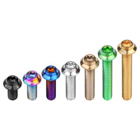 Wanyifa Titanium Bolt M3x6 8 10 12 15 18 20mm Disc-Shaped Umbrella Torx T10 Head with Logo Screw Ti Fasteners