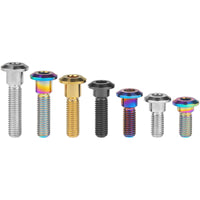 Wanyifa Titanium Bolt M8x20 22 25 30 33 35 40mm Hex Socket Head Screws for Motorcycle Yamaha Disc Brake Screw Suzuki Refit