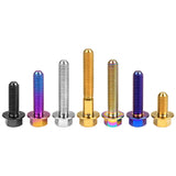 Wanyifa Titanium Bolt M4/M5x6 8 10 12 15 20 25 30mm Flange Hex Head Screws for Bike Motorcycle Car