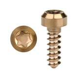 Wanyifa Titanium Bolt M3x9mm Chamfered Self-Tapping Torx T15 Head Screw for Model Aircraft