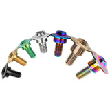 Wanyifa Titanium Bolt M6x11 12 13 14 15 16 17 18 20 22mm Disc-Shaped Torx T30 Step Screw for Locomotive Motorcycle Shell Modifications