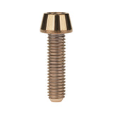 Wanyifa Titanium Bolt M4x8 10 12 15 20mm Taper Hex Head Screw for Bike Fasteners