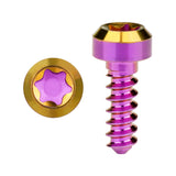 Wanyifa Titanium Bolt M3x9mm Chamfered Self-Tapping Torx T15 Head Screw for Model Aircraft