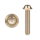 Wanyifa Titanium Bolt M3x6 8 10 12 15 18 20mm Disc-Shaped Umbrella Torx T10 Head with Logo Screw Ti Fasteners