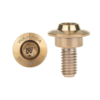 Wanyifa Titanium Bolt M6x14 15 16 17mm Disc-Shaped Torx T30 Step Screw for Locomotive Motorcycle Shell Modification