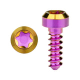 Wanyifa Titanium Screw M3x9mm Chamfered Torx T15 Head Self-Tapping Screws for Bike Motorcycle Car Boat Model Aircraft Modifications