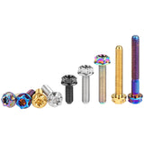 Wanyifa Titanium Bolt M4x10 15 20 25 30mm Flange Torx Head with 'W' Logo Screw Ti Fasteners for Bike Motorcycle Car