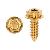 Wanyifa Titanium Bolt M4/M5x15mm Flange Torx Head Self-Tapping Screw for Motorcycle Car Boat Ti Fasteners