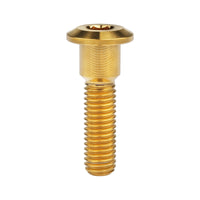 Wanyifa Titanium Bolt M8x20 22 25 30 33 35 40mm Hex Socket Head Screws for Motorcycle Yamaha Disc Brake Screw Suzuki Refit