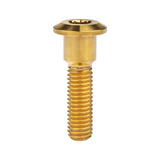 Wanyifa Titanium Bolt M8x20 22 25 30 33 35 40mm Hex Socket Head Screws for Motorcycle Yamaha Disc Brake Screw Suzuki Refit
