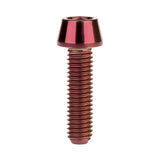 Wanyifa Titanium Bolt M4x8 10 12 15 20mm Taper Hex Head Screw for Bike Fasteners