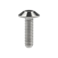 Wanyifa Titanium Bolt M6x12 15 20 25 30 35mm Umbrella Hexagon Allen Head Screw for Bike Motorcycle Disc Brake