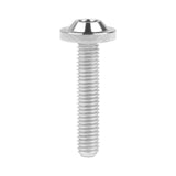 Wanyifa Titanium Bolt M5x10 12 15 20 25 30 35mm Disc-Shaped Torx T25 Head Screw for Motocycle Bicycle Disc Brake