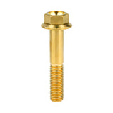 WanyifaチタンボルトM10X2025 30 35 40 45 50 55 60 65 70 7580100mmピッチ1.25六角頭フランジボルトファスナーネジ