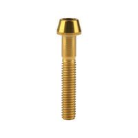 Wanyifa Titanium Bolt M6x10 16 18 20 25 30 35 40 45 50 55 60 65mm DIN912 Taper Hex Allen Head Screw for Bicycle