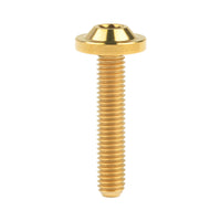Wanyifa Titanium Bolt M5x10 12 15 20 25 30 35mm Disc-Shaped Torx T25 Head Screw for Motocycle Bicycle Disc Brake