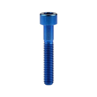 Wanyifa Titanium Bolt M6x10 15 18 20 25 30 35 40 45 50 55 60 65mm Cap Socket Allen Hex Head Screw for Mountain Road Bike