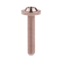 Wanyifa Titanium Bolt M5x10 12 15 20 25 30 35mm Disc-Shaped Torx T25 Head Screw for Motocycle Bicycle Disc Brake
