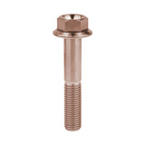 WanyifaチタンボルトM10X2025 30 35 40 45 50 55 60 65 70 7580100mmピッチ1.25六角頭フランジボルトファスナーネジ