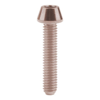 Wanyifa Titanium Bolt M4x8 10 12 15 20mm Taper Hex Head Screw for Bike Fasteners
