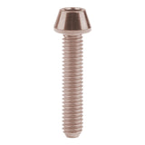 Wanyifa Titanium Bolt M4x8 10 12 15 20mm Taper Hex Head Screw for Bike Fasteners