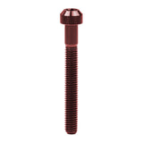 Wanyifa Titanium Bolt M6x10 15 20 25 30 35 40 45 50 55 60 65 70 80mm Chamfered Torx Head Screw for Bicycle Motorcycle