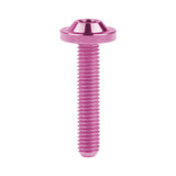 Wanyifa Titanium Bolt M5x10 12 15 20 25 30 35mm Disc-Shaped Torx T25 Head Screw for Motocycle Bicycle Disc Brake
