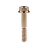 Wanyifa Titanium Bolt M8x15 20 25 30 35 40 45 50 55mm DIN6921 Flange Hex Head Screw for Cycling Motorcycle